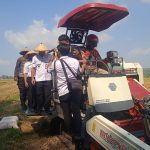 Bupati didampingi kadis pertanian boyolali saat akan lakukan panen raya di desa Sangge klego Boyolali